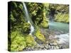 Seasonal Waterfall Near Graves Creek, Olympic National Park, Washington, USA-Stuart Westmoreland-Stretched Canvas