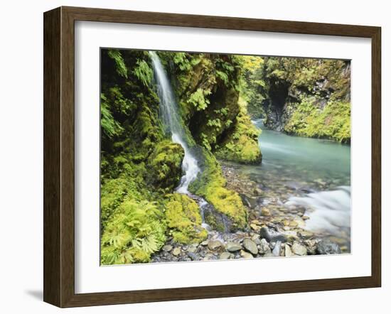 Seasonal Waterfall Near Graves Creek, Olympic National Park, Washington, USA-Stuart Westmoreland-Framed Photographic Print