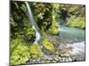 Seasonal Waterfall Near Graves Creek, Olympic National Park, Washington, USA-Stuart Westmoreland-Mounted Photographic Print