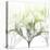 Seasoned Oleander-Albert Koetsier-Stretched Canvas