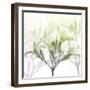 Seasoned Oleander-Albert Koetsier-Framed Photographic Print