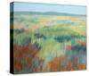 Seasons Change-Jeannie Sellmer-Stretched Canvas