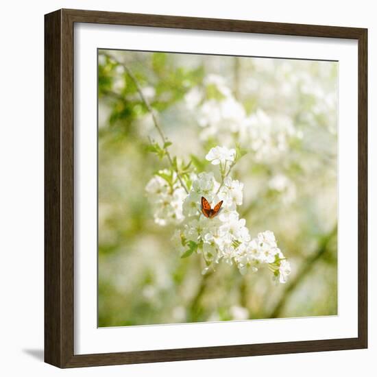 Seasons Change-Philippe Sainte-Laudy-Framed Photographic Print