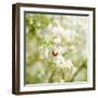 Seasons Change-Philippe Sainte-Laudy-Framed Photographic Print