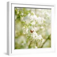 Seasons Change-Philippe Sainte-Laudy-Framed Photographic Print