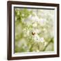 Seasons Change-Philippe Sainte-Laudy-Framed Photographic Print