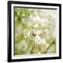 Seasons Change-Philippe Sainte-Laudy-Framed Photographic Print