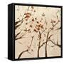 Seasons Color-Jodi Maas-Framed Stretched Canvas