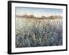 Seasons End-Tim O'toole-Framed Giclee Print