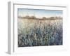 Seasons End-Tim O'toole-Framed Giclee Print