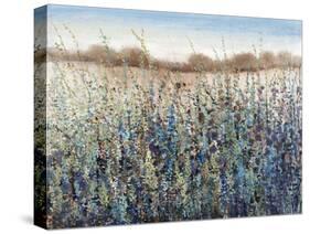 Seasons End-Tim O'toole-Stretched Canvas