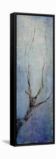 Seasons IV-Kari Taylor-Framed Stretched Canvas