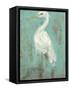 Seaspray Heron II-Jennifer Goldberger-Framed Stretched Canvas