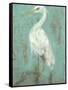 Seaspray Heron II-Jennifer Goldberger-Framed Stretched Canvas