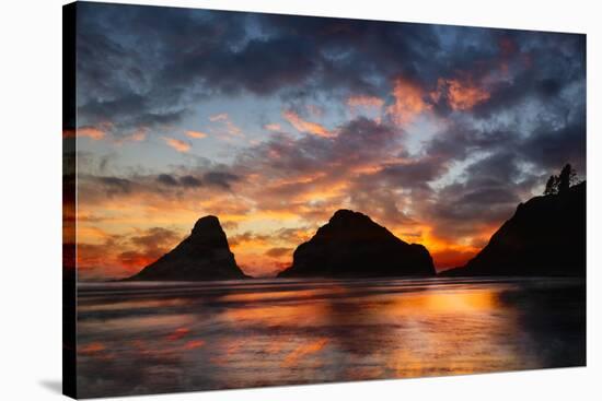 Seastack and headland at sunset, from Devil's Elbow State Park, Oregon-Adam Jones-Stretched Canvas