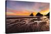 Seastack and headland at sunset, from Devil's Elbow State Park, Oregon-Adam Jones-Stretched Canvas