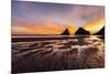 Seastack and headland at sunset, from Devil's Elbow State Park, Oregon-Adam Jones-Mounted Photographic Print