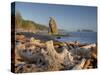 Seastack and James Island, Rialto Beach, Olympic National Park, Washington, USA-Jamie & Judy Wild-Stretched Canvas