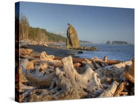 Seastack and James Island, Rialto Beach, Olympic National Park, Washington, USA-Jamie & Judy Wild-Stretched Canvas