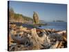 Seastack and James Island, Rialto Beach, Olympic National Park, Washington, USA-Jamie & Judy Wild-Stretched Canvas