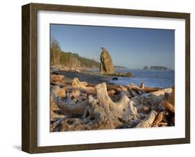 Seastack and James Island, Rialto Beach, Olympic National Park, Washington, USA-Jamie & Judy Wild-Framed Photographic Print