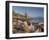 Seastack and James Island, Rialto Beach, Olympic National Park, Washington, USA-Jamie & Judy Wild-Framed Photographic Print