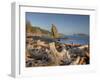 Seastack and James Island, Rialto Beach, Olympic National Park, Washington, USA-Jamie & Judy Wild-Framed Photographic Print