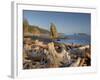 Seastack and James Island, Rialto Beach, Olympic National Park, Washington, USA-Jamie & Judy Wild-Framed Photographic Print