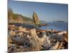 Seastack and James Island, Rialto Beach, Olympic National Park, Washington, USA-Jamie & Judy Wild-Mounted Photographic Print