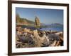 Seastack and James Island, Rialto Beach, Olympic National Park, Washington, USA-Jamie & Judy Wild-Framed Photographic Print