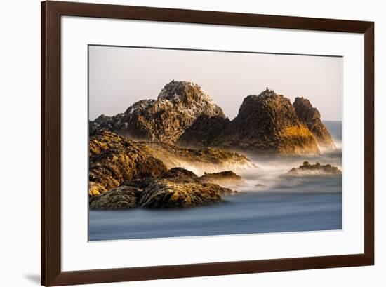 Seastack at sunset, from Seal Rock State Park, Oregon-Adam Jones-Framed Photographic Print