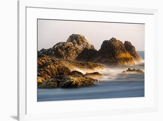 Seastack at sunset, from Seal Rock State Park, Oregon-Adam Jones-Framed Photographic Print