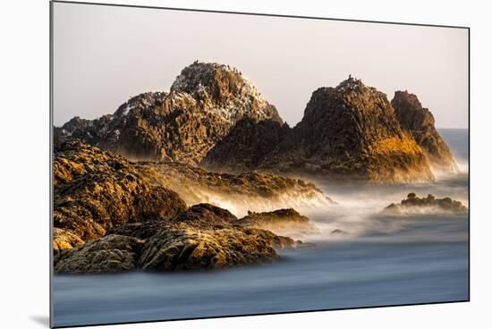 Seastack at sunset, from Seal Rock State Park, Oregon-Adam Jones-Mounted Photographic Print