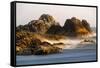 Seastack at sunset, from Seal Rock State Park, Oregon-Adam Jones-Framed Stretched Canvas