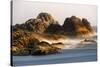 Seastack at sunset, from Seal Rock State Park, Oregon-Adam Jones-Stretched Canvas