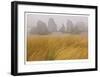 Seastacks and Fog-Donald Paulson-Framed Giclee Print