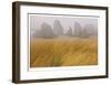 Seastacks and Fog-Donald Paulson-Framed Giclee Print