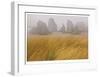 Seastacks and Fog-Donald Paulson-Framed Giclee Print