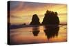 Seastacks at 2nd Beach, from Lapush, at Sunset-null-Stretched Canvas