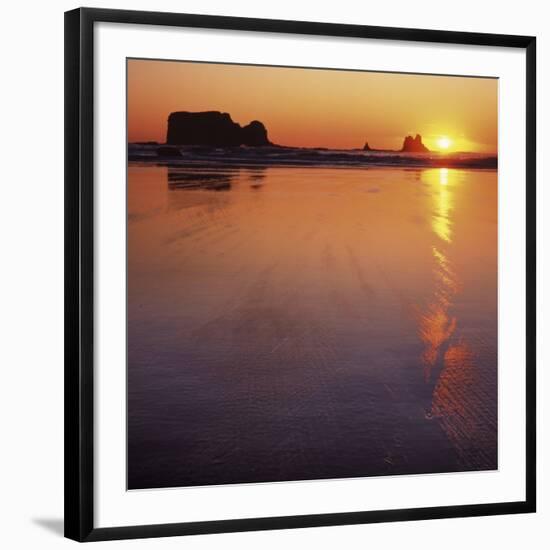 Seastacks at sunset, Olympic National Park, Washington, USA-Charles Gurche-Framed Photographic Print