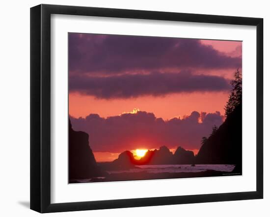 Seastacks at Sunset, Rialto Beach, Olympic National Park, Washington, USA-null-Framed Photographic Print