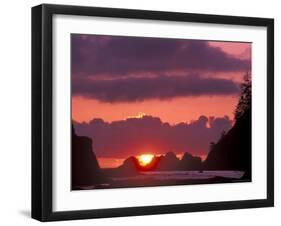 Seastacks at Sunset, Rialto Beach, Olympic National Park, Washington, USA-null-Framed Photographic Print