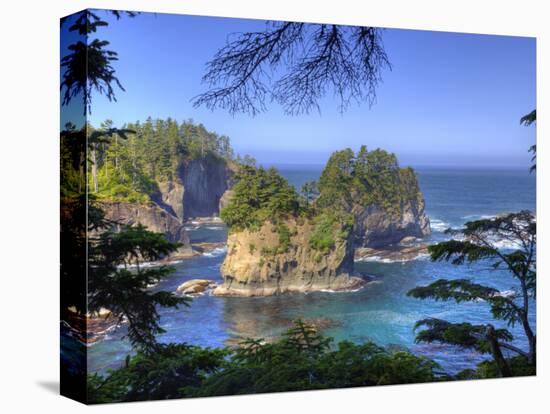 Seastacks, Makah Nation Tribal Lands, Cape Flattery, Washington, USA-Jamie & Judy Wild-Stretched Canvas