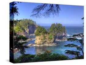 Seastacks, Makah Nation Tribal Lands, Cape Flattery, Washington, USA-Jamie & Judy Wild-Stretched Canvas