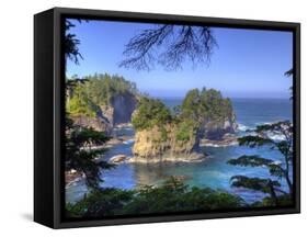 Seastacks, Makah Nation Tribal Lands, Cape Flattery, Washington, USA-Jamie & Judy Wild-Framed Stretched Canvas