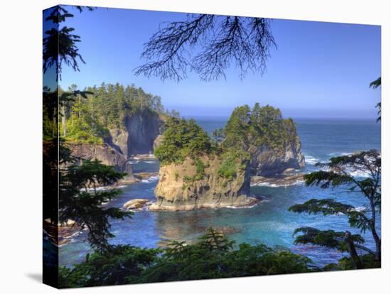 Seastacks, Makah Nation Tribal Lands, Cape Flattery, Washington, USA-Jamie & Judy Wild-Stretched Canvas