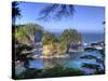 Seastacks, Makah Nation Tribal Lands, Cape Flattery, Washington, USA-Jamie & Judy Wild-Stretched Canvas