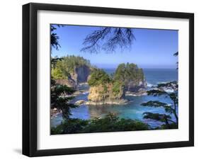 Seastacks, Makah Nation Tribal Lands, Cape Flattery, Washington, USA-Jamie & Judy Wild-Framed Photographic Print