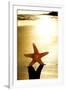 Seastar on the Shore of a Beach at Sunset-nito-Framed Premium Photographic Print