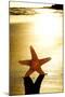 Seastar on the Shore of a Beach at Sunset-nito-Mounted Premium Photographic Print